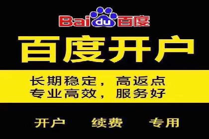 SEM托管公司成功案例：助力企业品牌提升